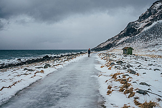 女人,走,冰,海滩,罗浮敦群岛,挪威