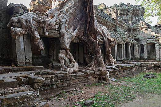 庙宇,遗址,吴哥窟,收获,柬埔寨,亚洲