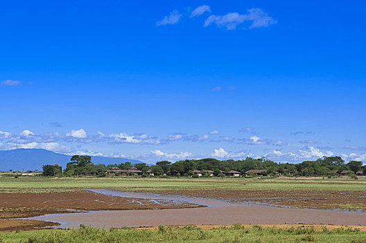 查沃,国家公园,肯尼亚