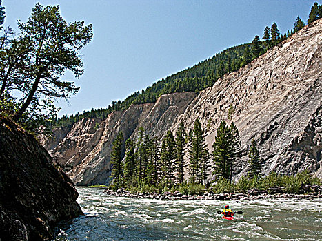 白浪,皮划艇手,漂浮,麋鹿,河,不列颠哥伦比亚省,加拿大