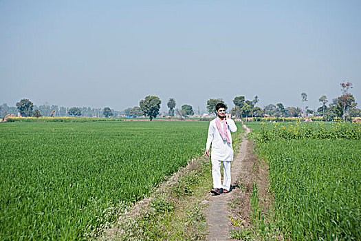 农民,交谈,手机,土地,印度