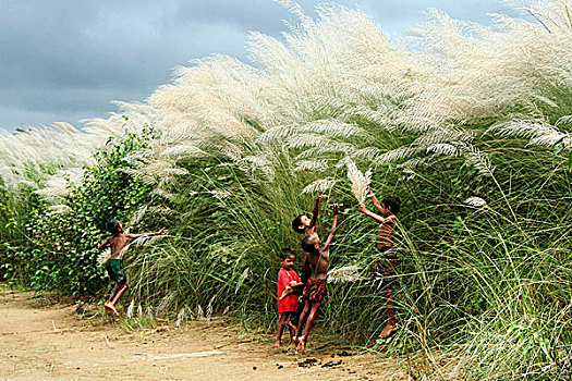 一群孩子,收集,柔荑花,堤岸,河,乡村,孟加拉,九月,2007年