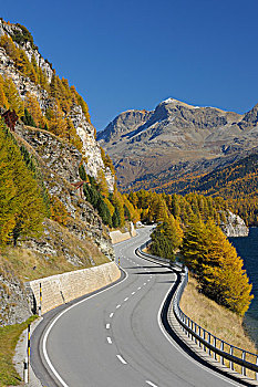 乡间小路,湖,恩加丁,瑞士