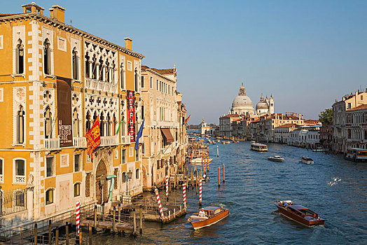 水,出租车,汽艇,大运河,文艺复兴,建筑风格,宫殿,建筑,圣马科,圣马利亚,行礼,大教堂,威尼斯,威尼托,意大利,欧洲