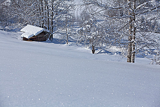 冬季风景,小屋