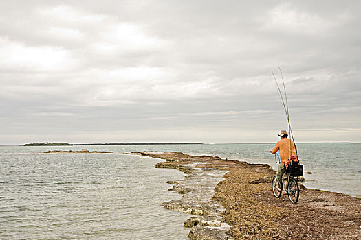 男人,骑自行车,鱼竿,海滩,佛罗里达礁岛群,美国