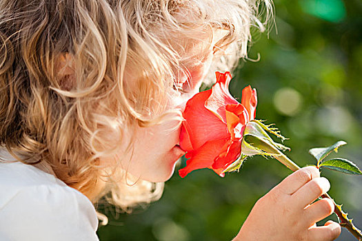 孩子,玫瑰花,花园