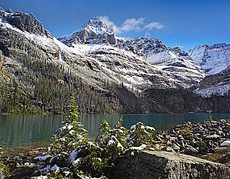 攀升,湖,幽鹤国家公园,不列颠哥伦比亚省,加拿大