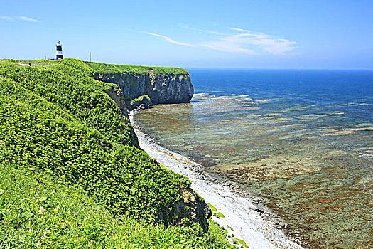 岬角,夏天