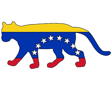 美洲狮,委内瑞拉