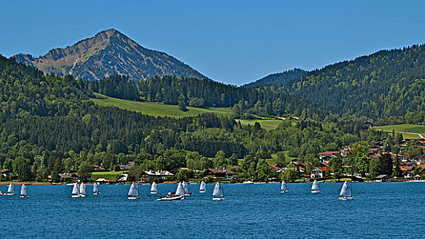 德国,巴伐利亚,泰根湖,帆船,巴特维西,风景,船,小路,山,蓝天