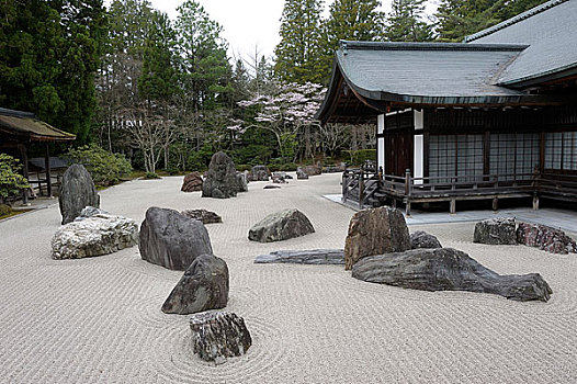 日本,高野山,庙宇,禅园