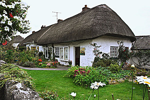 爱尔兰,屋舍,围绕,花园