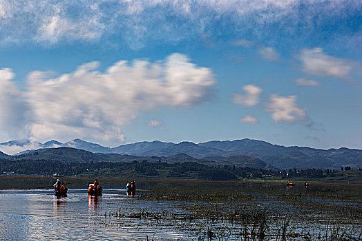 湿地公园