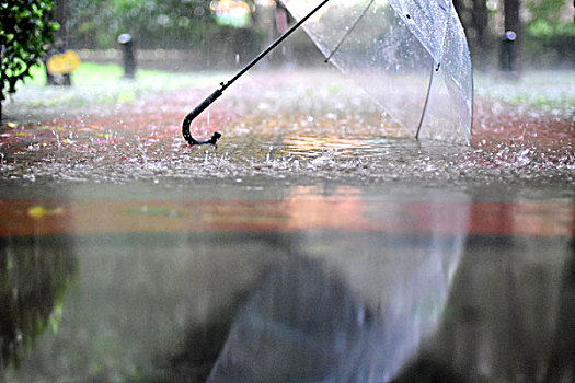 雨中