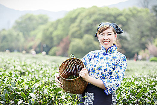 亚洲人,漂亮,女孩,种植园