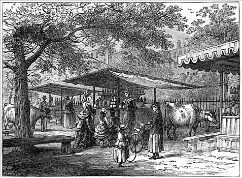 牛奶,市集,圣詹姆斯公园,伦敦,1891年