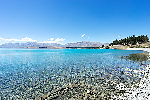 风景,湖,夏天,新西兰