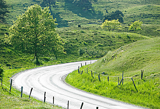 乡间小路,瑞典