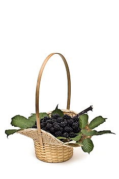 篮子,黑莓