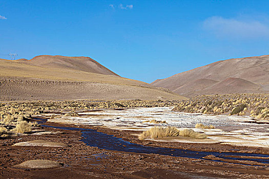 南美,阿根廷,省,特色,风景,山间高原,高地,北方