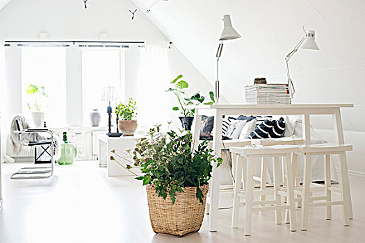 白色,台案,凳子,靠近,植物,藤条,种植器皿,苍白,地面,休闲,区域,背景,阁楼