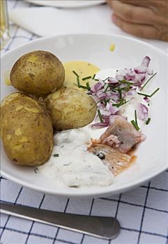 盘子,土豆,青鱼,酸奶油,红洋葱,细香葱,瑞典