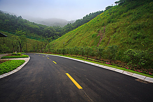 房子,建筑,道路,指示线