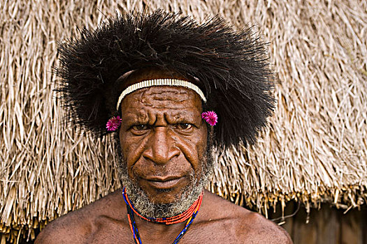 男人,部落,肖像,山谷,西巴布亚,西部,新几内亚,印度尼西亚,亚洲