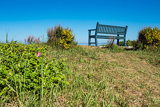 长椅,海岸,波罗的海