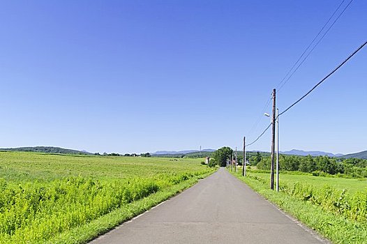 道路