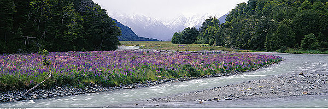 河,飘动,草地