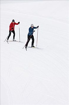 伴侣,越野滑雪,不列颠哥伦比亚省,加拿大