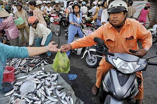 鱼市,湄公河三角洲,越南,亚洲