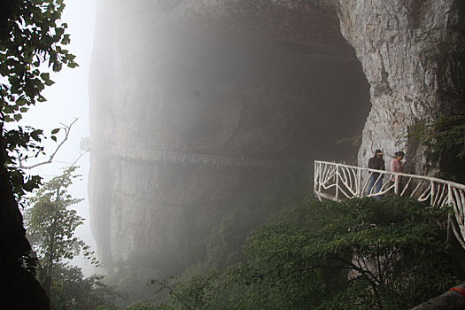 重庆南川,雨中金佛山云端栈道,与云雾起舞如仙如境