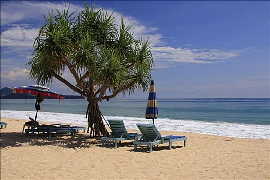 折叠躺椅,手掌,海滩,普吉岛,泰国,亚洲