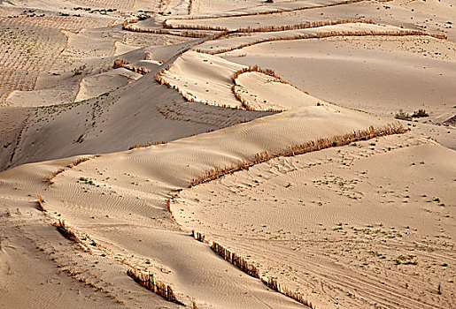塔克拉玛干沙漠,棉杆固沙,新疆和田地区