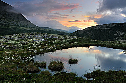 高山湖,风景,靠近,国家公园,挪威,斯堪的纳维亚,欧洲