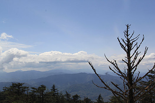 峨眉山,金顶