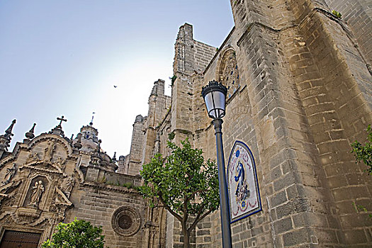 大教堂,卡迪兹,安达卢西亚,西班牙