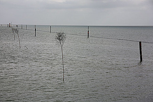 德国,下萨克森,岛屿,尤里斯特,海洋,道路,标记,北德,北海,水,泥滩,柱子,植物,树,指引,导航,象征,运输