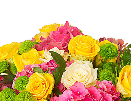 粉色,绣球花,花束,花,玫瑰,特写,隔绝,白色背景,背景