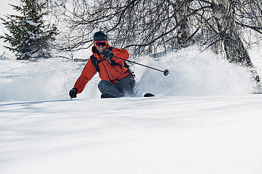 男性,滑雪,山坡,仰视,隆河阿尔卑斯山省,法国