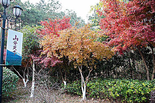 米芾书法公园