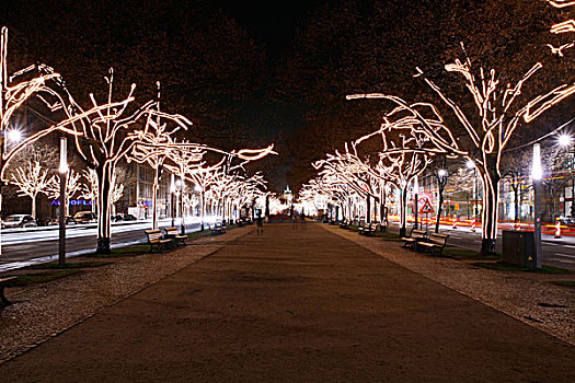 圣诞装饰,菩提树,柏林,德国