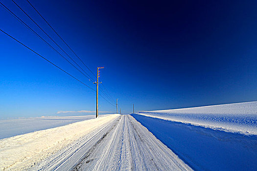 道路,冬天