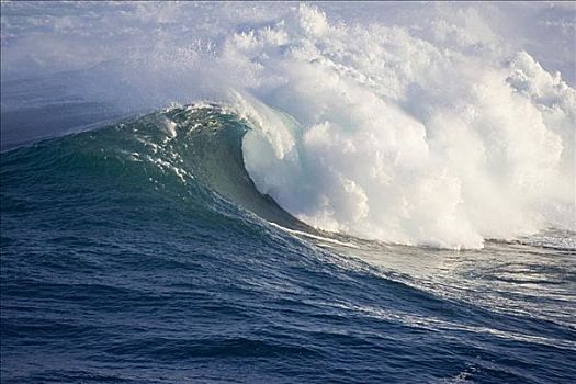 夏威夷,毛伊岛,碰撞,颚部,海浪,斑点
