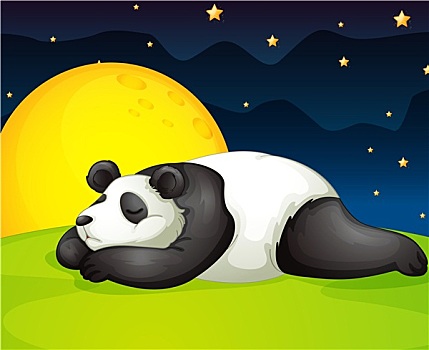 熊猫,休息,夜晚