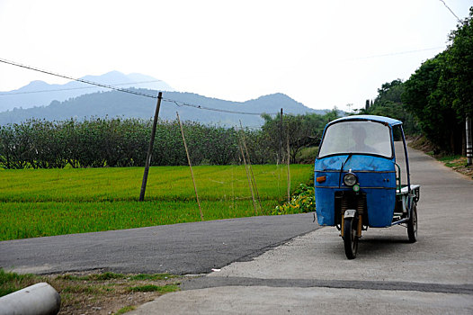 乡村风光,稻田,农用三轮车