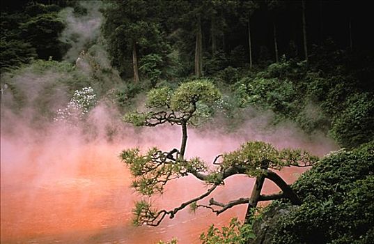 日本,九州,薄雾,血,水塘,地狱,红色,火山,水池